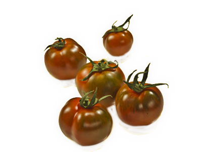 Pomodoro Camone