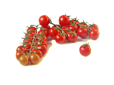 Pomodoro Ciliegino