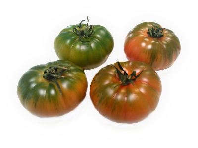 Pomodoro Costoluto Maremagno