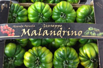 POMODORO MARINDA