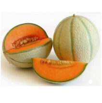 MELONE CANTALUPO